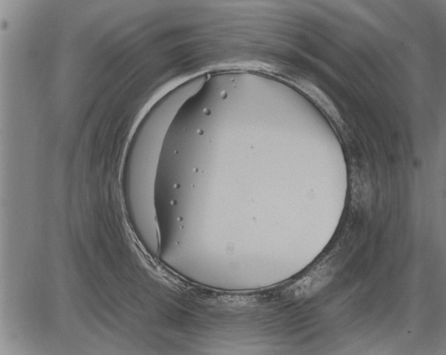 X0000081451044200702021737