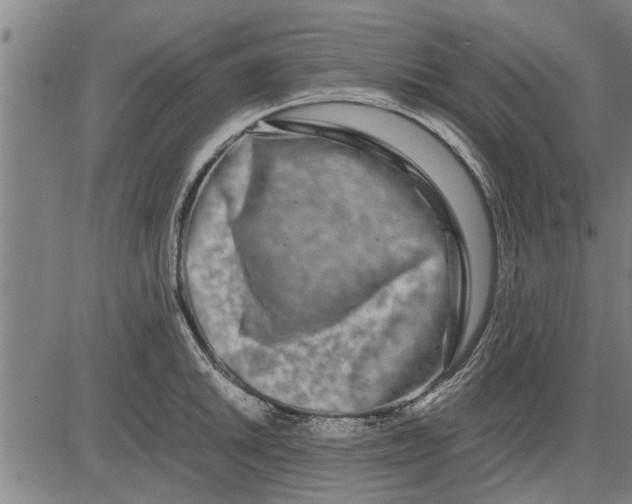 X0000081451046200702021737