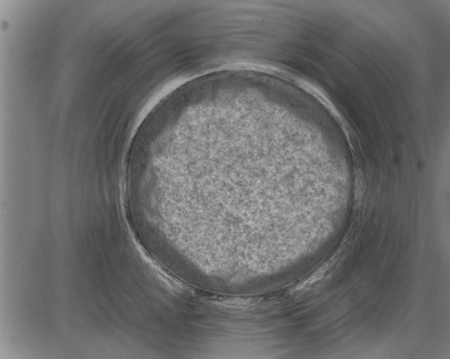 X0000081451048200702021737