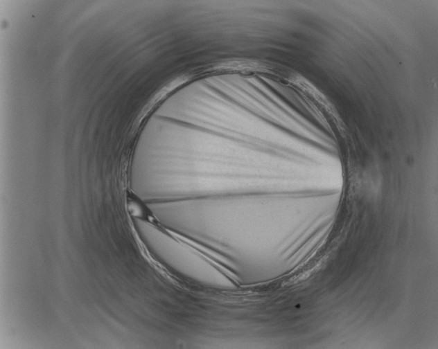 X0000081451049200702021737