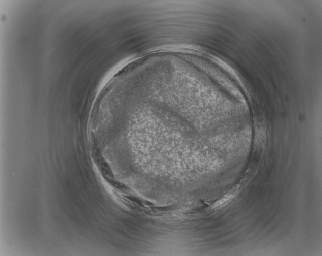 X0000081451050200702021737