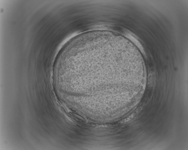 X0000081451051200702021737