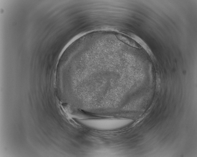 X0000081451052200702021737