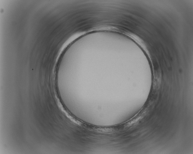 X0000081451053200702021737