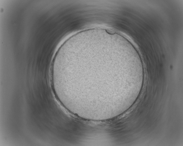 X0000081451056200702021737