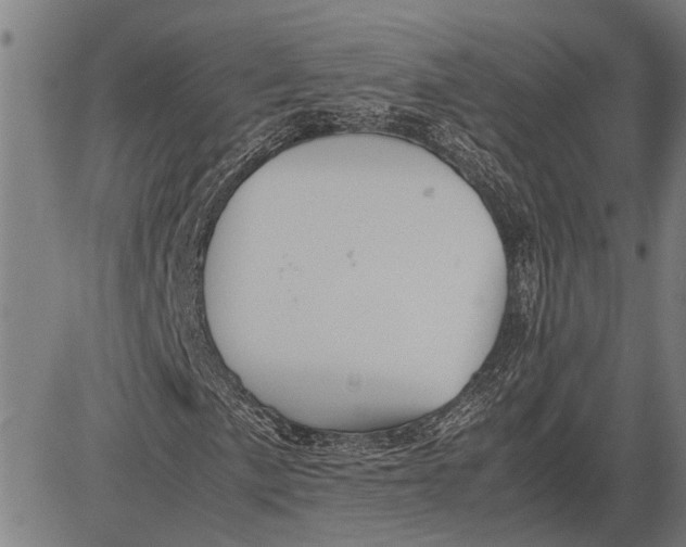 X0000081451057200702021737