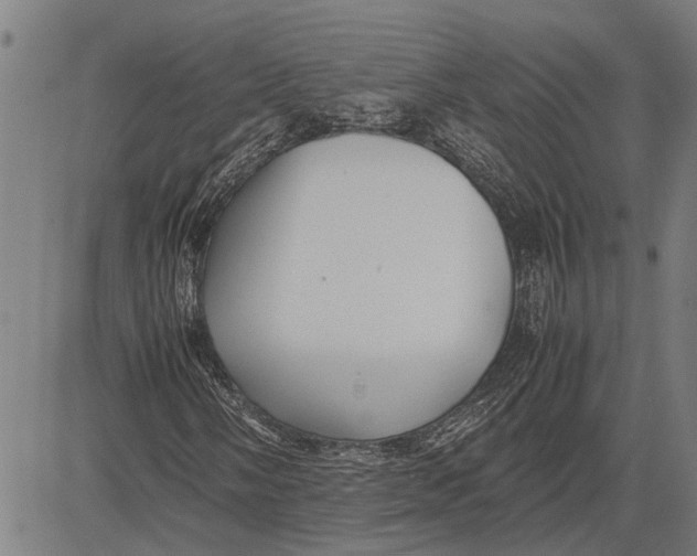 X0000081451058200702021737