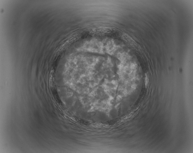 X0000081451059200702021737