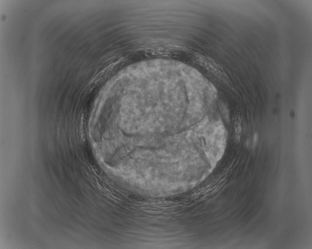 X0000081451060200702021737