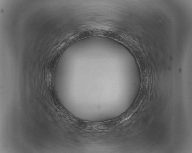 X0000081451061200702021737