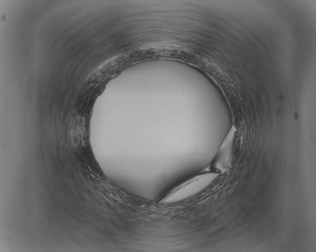 X0000081451062200702021737