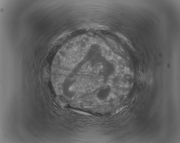 X0000081451063200702021737