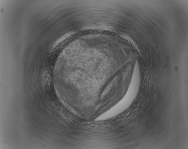 X0000081451064200702021736