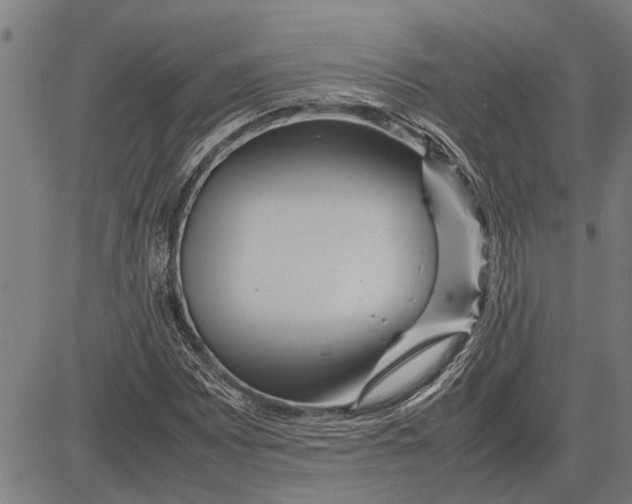 X0000081451065200702021736