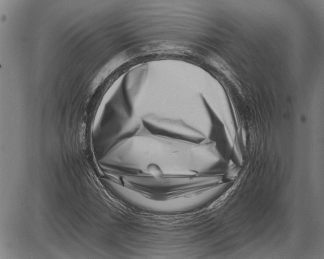 X0000081451066200702021736