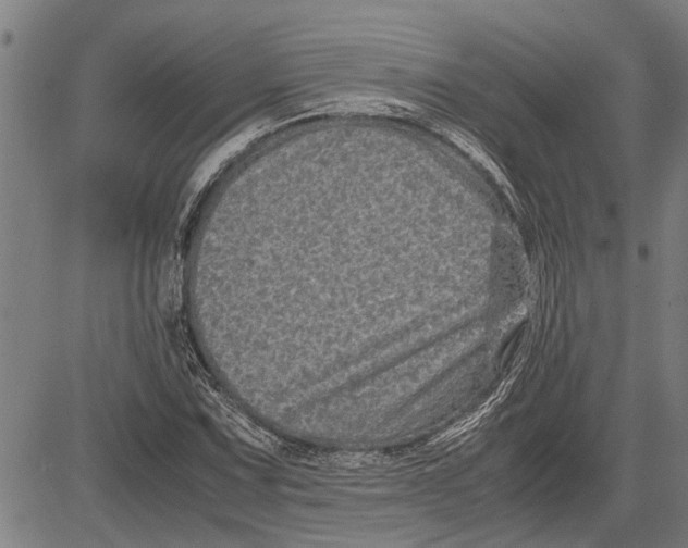 X0000081451067200702021736