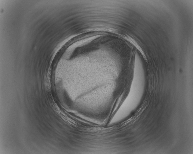 X0000081451068200702021736