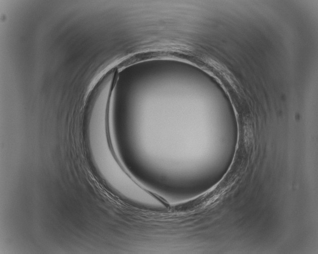 X0000081451069200702021736