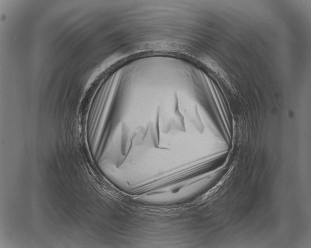 X0000081451070200702021736