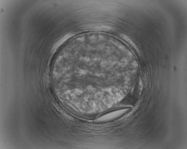 X0000081451071200702021736