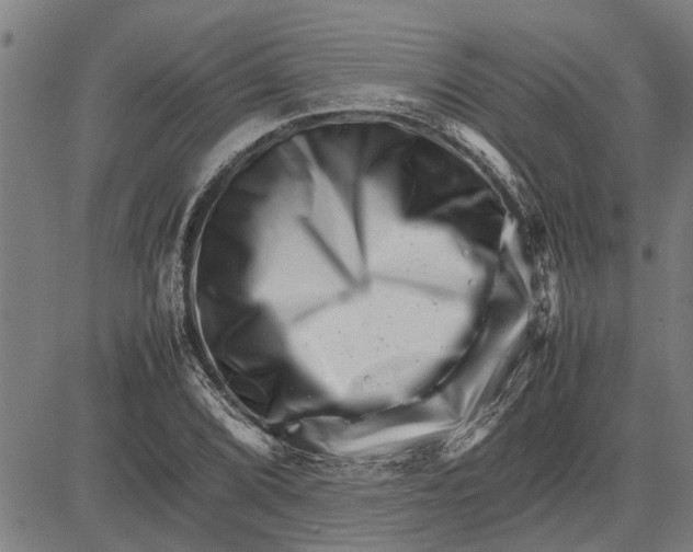 X0000081451072200702021736