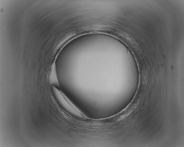 X0000081451073200702021736