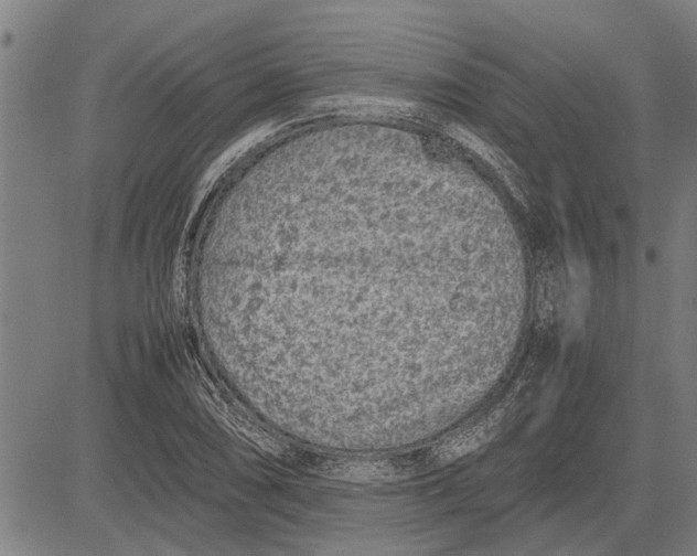 X0000081451074200702021736