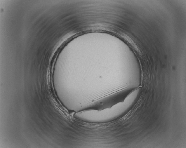 X0000081451076200702021736