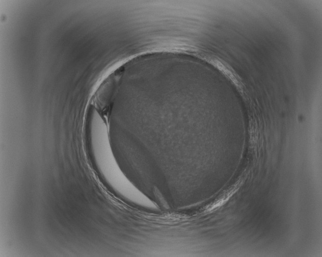 X0000081451077200702021736