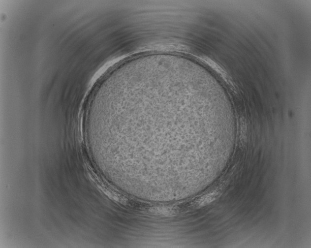 X0000081451078200702021736