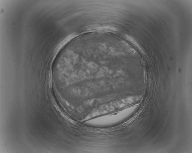 X0000081451079200702021736