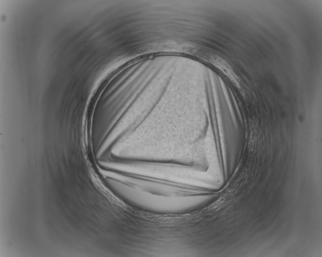 X0000081451080200702021736