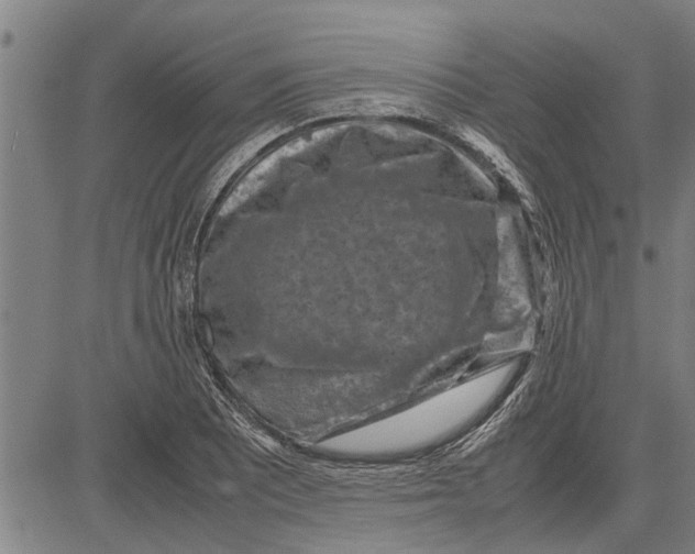 X0000081451081200702021736