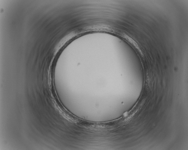 X0000081451082200702021736