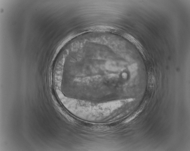 X0000081451083200702021736