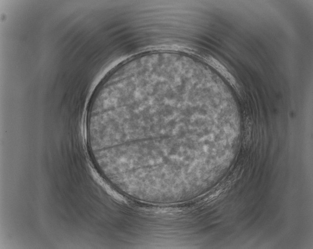 X0000081451084200702021736