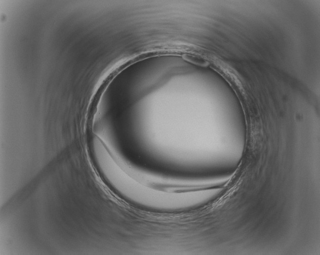 X0000081451085200702021736