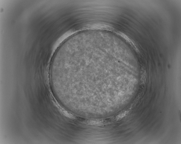 X0000081451086200702021736