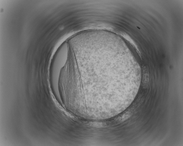 X0000081451088200702021736