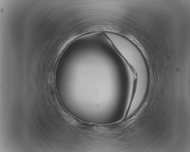 X0000081451089200702021736