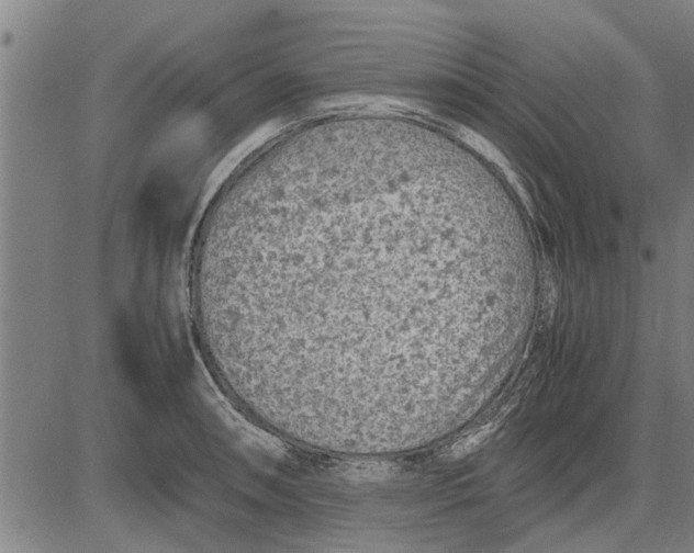 X0000081451090200702021736