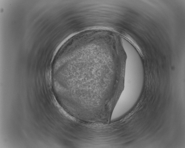 X0000081451092200702021736