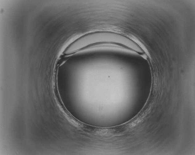 X0000081451093200702021736