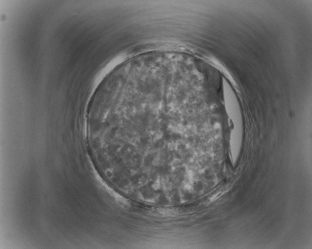 X0000081451095200702021736