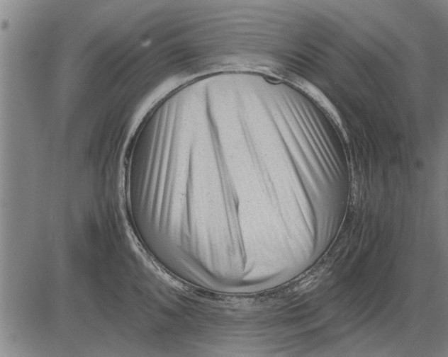 X0000081451096200702021736