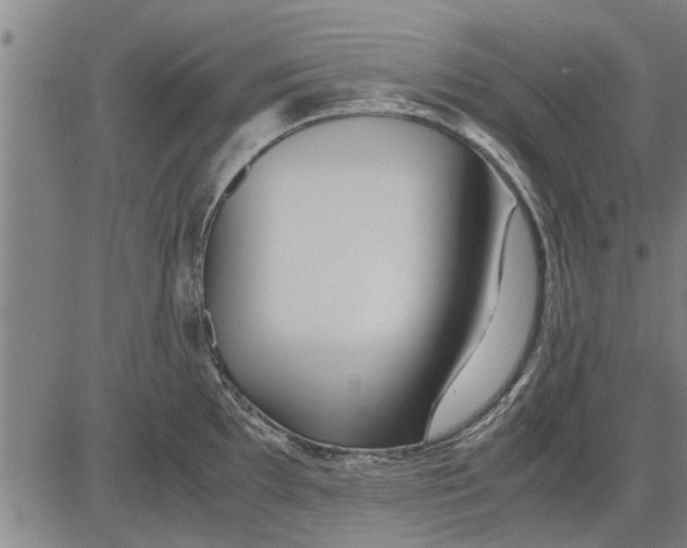 X0000081451097200702021736