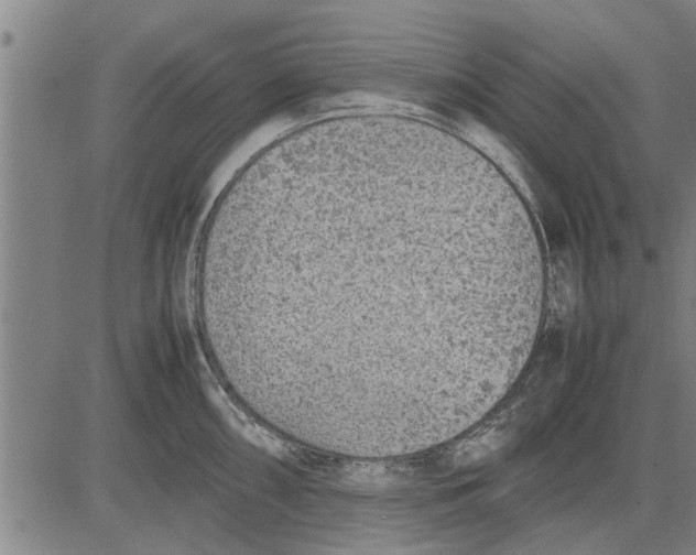 X0000081451098200702021736