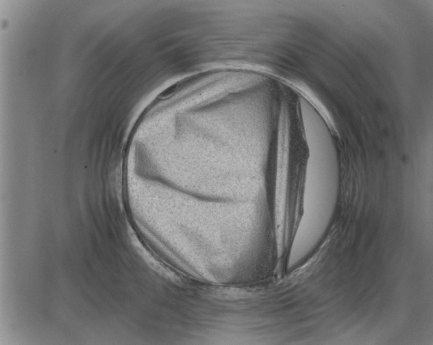 X0000081451100200702021736