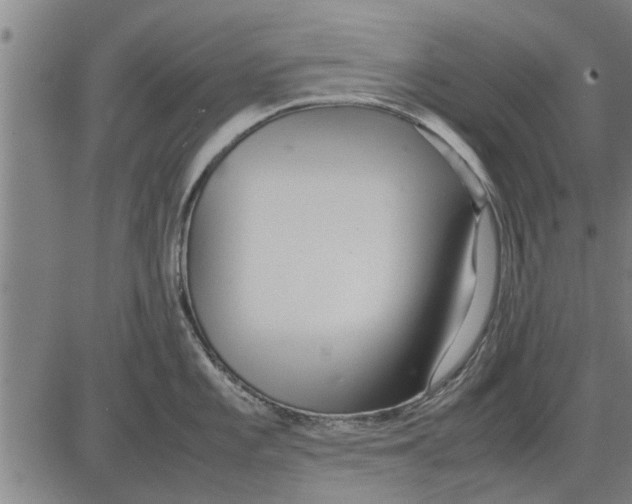 X0000081451101200702021736