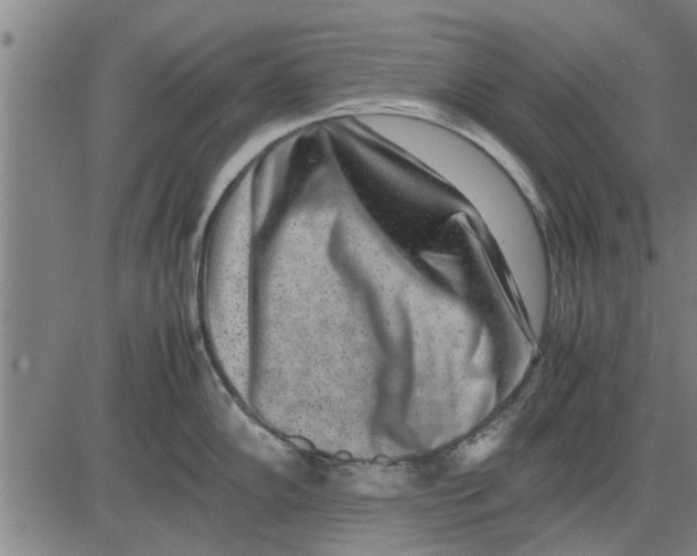 X0000081451102200702021736